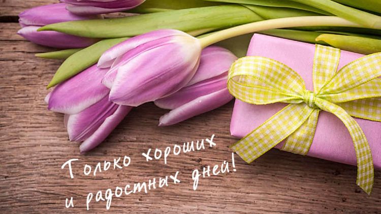 13 ноября Всемирный день доброты