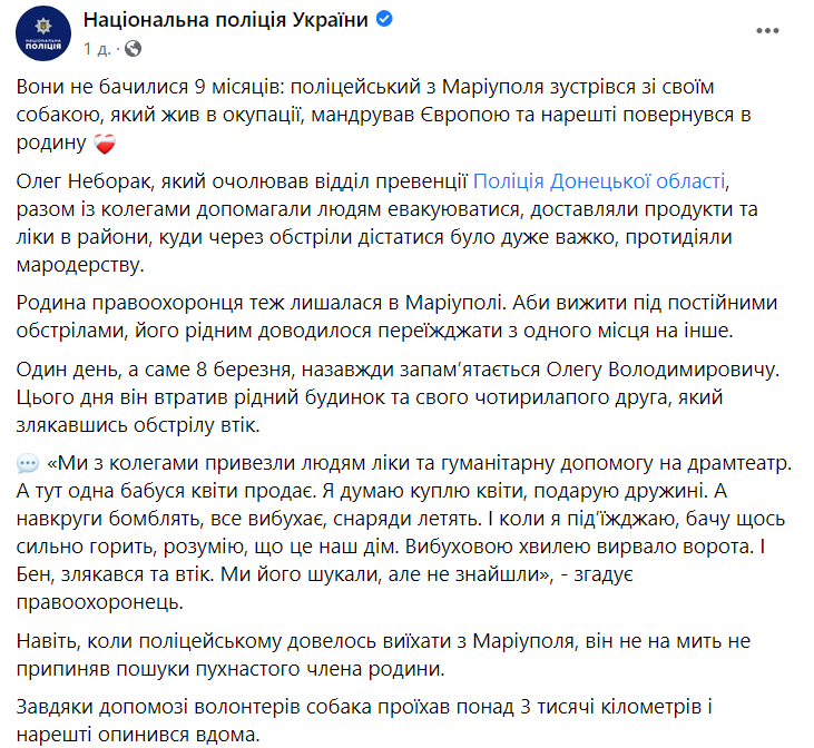 Пес знову знайшов господаря