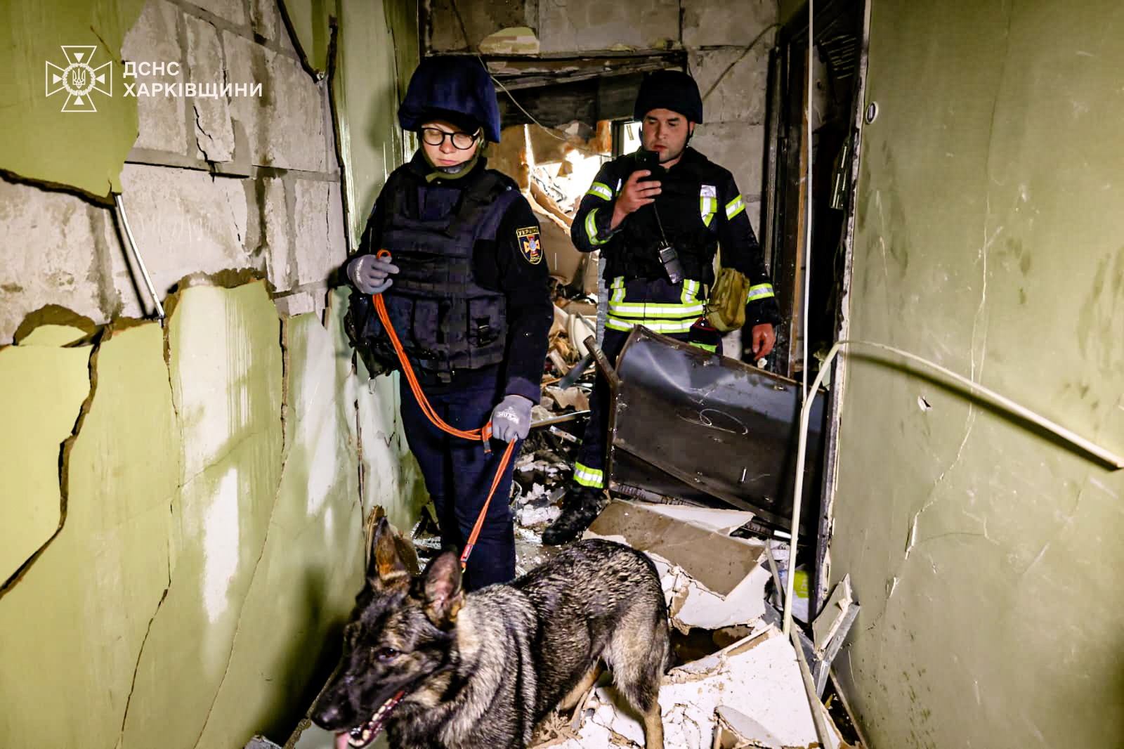 Фото рятувальної операції (2). Джерело - facebook.com/DSNS.GOV.UA